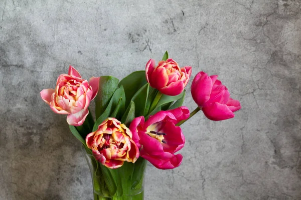 Pfingstrose Bunte Tulpen Auf Einem Betongrund Selektiver Fokus — Stockfoto