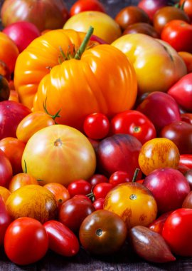 Tahta bir masadaki demir bir tepside çeşitli türde domatesler. Seçici odak.