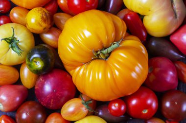 Tomatoes of various varieties and sizes on an iron tray on a wooden table. Selective focus.