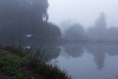 Moldova 'da sonbahar, parkta sisli bir manzara. Sabahın erken saatlerinde göl kıyısında yoğun bir sis. Seçici odak.