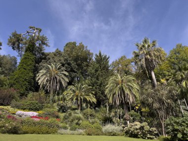 Tremezzo, İtalya - 10 Ekim 2023: Villa Carlotta bahçesi manzarası