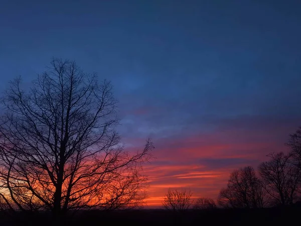 Landscape Tree Sunset Red Sky — Stock Photo, Image