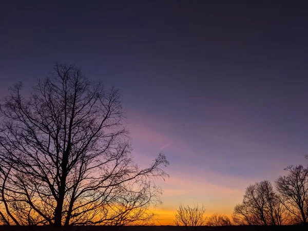 Landscape Tree Sunset Purple Sky — Stock Photo, Image