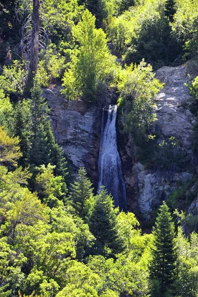Kaskada Wodospadów Końskiego Ogona Dół Klifów Lone Peak Wilderness Wzdłuż — Zdjęcie stockowe