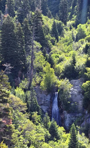 Kuyruğu Şelalesi Lone Peak Wilderness Daki Kayalıklardan Aşağı Doğru Wasatch — Stok fotoğraf