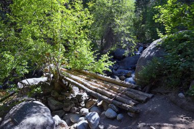 At Kuyruğu Şelalesi, Dry Creek Kanyonu 'nda yürüyüş parkuru, Lone Peak Wilderness, Wasatch Front Rocky Dağları boyunca, Alpine Utah. ABD.