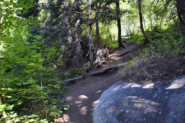 At Kuyruğu Şelalesi, Dry Creek Kanyonu 'nda yürüyüş parkuru, Lone Peak Wilderness, Wasatch Front Rocky Dağları boyunca, Alpine Utah. ABD.