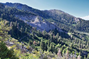 At Kuyruğu Şelalesi, Dry Creek Kanyonu 'ndaki yürüyüş yolundan, Lone Peak Wilderness' tan Wasatch Front Rocky Dağları boyunca, Alpine Utah 'tan manzaralı. ABD.