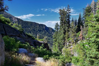 At Kuyruğu Şelalesi, Dry Creek Kanyonu 'ndaki yürüyüş yolundan, Lone Peak Wilderness' tan Wasatch Front Rocky Dağları boyunca, Alpine Utah 'tan manzaralı. ABD.
