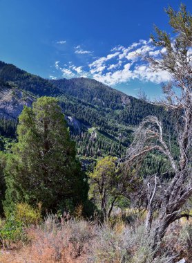 At Kuyruğu Şelalesi, Dry Creek Kanyonu 'ndaki yürüyüş yolundan, Lone Peak Wilderness' tan Wasatch Front Rocky Dağları boyunca, Alpine Utah 'tan manzaralı. ABD.