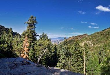 At Kuyruğu Şelalesi Vadisi, Dry Creek Kanyonu 'ndaki sırt çantasından, Lone Peak Wilderness' tan Wasatch Front Rocky Dağları 'ndan, Alpine Utah' tan manzaralı. ABD.