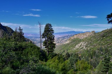 At Kuyruğu Şelalesi Vadisi, Dry Creek Kanyonu 'ndaki sırt çantasından, Lone Peak Wilderness' tan Wasatch Front Rocky Dağları 'ndan, Alpine Utah' tan manzaralı. ABD.