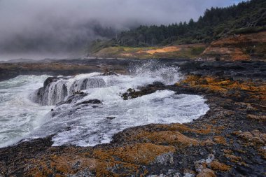 Cape Perpetua Çarpışan Dalgalar ve Dalgalar Oregon Sahili sis manzaralı Thor 'un Kuyusu ve Kaptan Cook Patikası' nda püsküren boynuz. ABD.