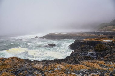 Cape Perpetua Çarpışan Dalgalar ve Dalgalar Oregon Sahili sis manzaralı Thor 'un Kuyusu ve Kaptan Cook Patikası' nda püsküren boynuz. ABD.