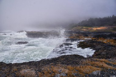 Cape Perpetua Çarpışan Dalgalar ve Dalgalar Oregon Sahili sis manzaralı Thor 'un Kuyusu ve Kaptan Cook Patikası' nda püsküren boynuz. ABD.