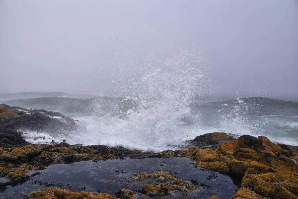 Cape Perpetua Crashing Waves Tide Pools Oregon Coast Fog Сша — стокове фото