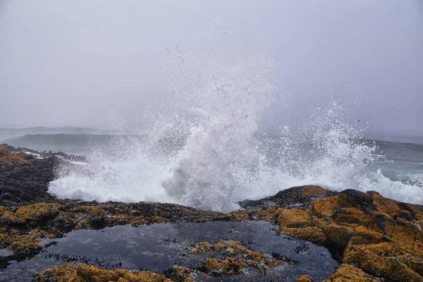 Cape Perpetua Crashing Waves Και Tide Pools Oregon Coast Ομίχλη — Φωτογραφία Αρχείου