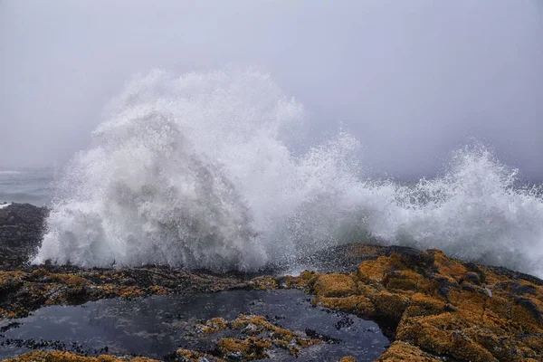 Cape Perpetua Crashing Waves Tide Pools Oregon Coast Fog Сша — стокове фото