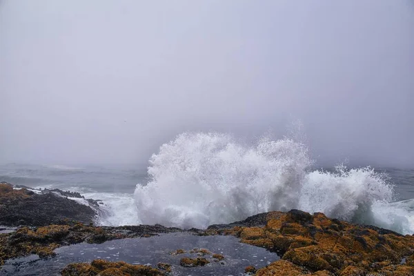 Cape Perpetua Crashing Waves Tide Pools Oregon Vue Sur Brouillard — Photo