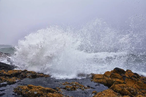 Cape Perpetua Çarpışan Dalgalar Dalgalar Oregon Sahili Sis Manzaralı Thor — Stok fotoğraf