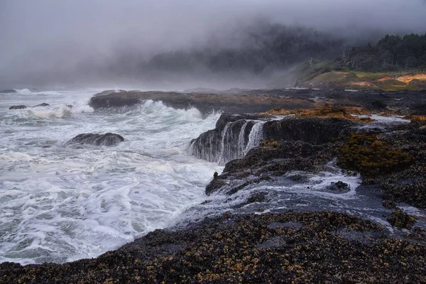 Cape Perpetua Crashing Waves Tide Pools Oregon Coast Tåge Udsigt - Stock-foto