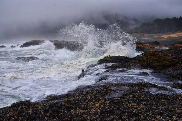 Мыс Перпетуа Залив Уэйвз Приливные Бассейны Орегонского Побережья Туманные Виды — стоковое фото