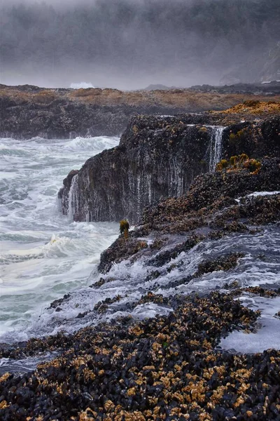 Cape Perpetua Crashing Waves Tide Pools Oregon Coast Vista Nevoeiro — Fotografia de Stock