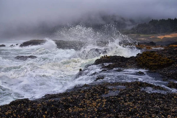 Cape Perpetua Çarpışan Dalgalar Dalgalar Oregon Sahili Sis Manzaralı Thor — Stok fotoğraf