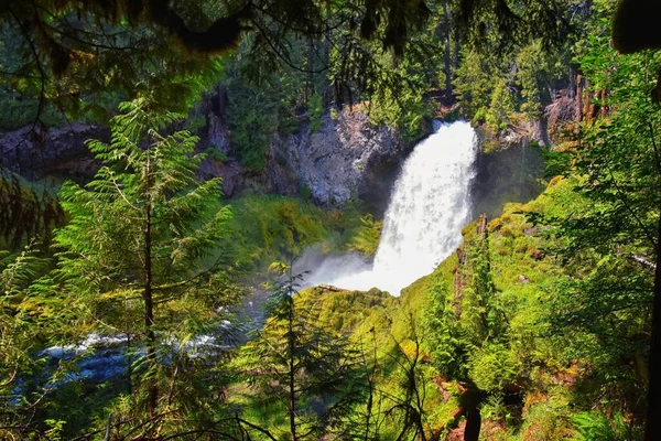 stock image Sahalie Koosah Tamolitch falls on McKenzie river, Williamette National Forest, Cascade Mountains, Oregon. USA.