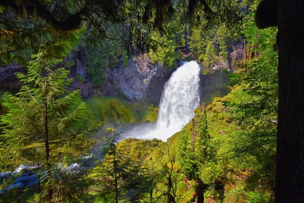 サハリ クーサ タモリッチ Sahalie Koosah Tamolitch マッケジー川 ウィリアメット国立の森 カスケード山脈 オレゴン州にある — ストック写真