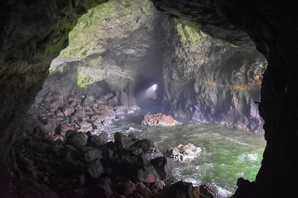 Deniz Aslanı Mağarası Manzarası Turist Eğlencesi Pasifik Okyanusu Kıyısı Florence — Stok fotoğraf