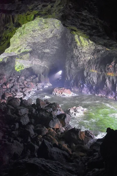 Sea Lion Cave Θέα Τουριστικό Αξιοθέατο Ειρηνικός Ωκεανός Ακτή Φλωρεντία — Φωτογραφία Αρχείου