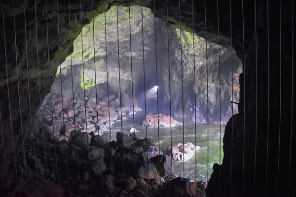 Widoki Jaskinię Sea Lion Atrakcje Turystyczne Wybrzeże Oceanu Spokojnego Florencja — Zdjęcie stockowe