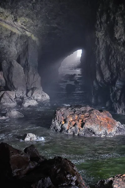 Sea Lion Caveビュー 観光名所 太平洋沿岸フィレンツェオレゴン州 アメリカ — ストック写真
