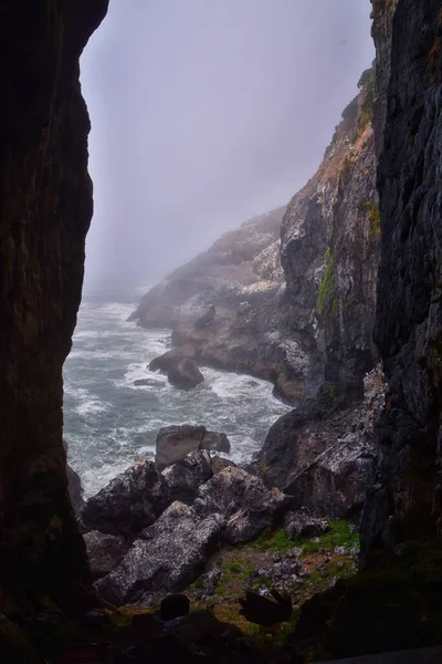 Lví Jeskyně Turistická Atrakce Pobřeží Tichého Oceánu Florencie Oregon Usa — Stock fotografie