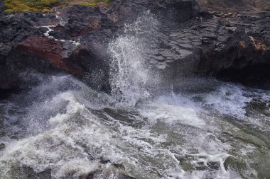 Oregon Sahili 'ndeki Horn Views Cape Perpetua' da Thor 'un Kuyusu Kaptan Cook Patikası' nda. Yachat Kuzey Amerika.