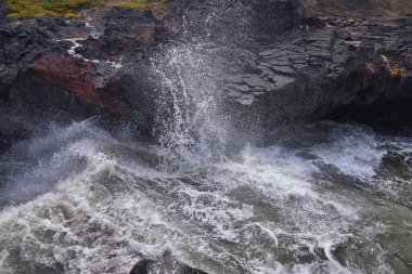 Oregon Sahili 'ndeki Horn Views Cape Perpetua' da Thor 'un Kuyusu Kaptan Cook Patikası' nda. Yachat Kuzey Amerika.