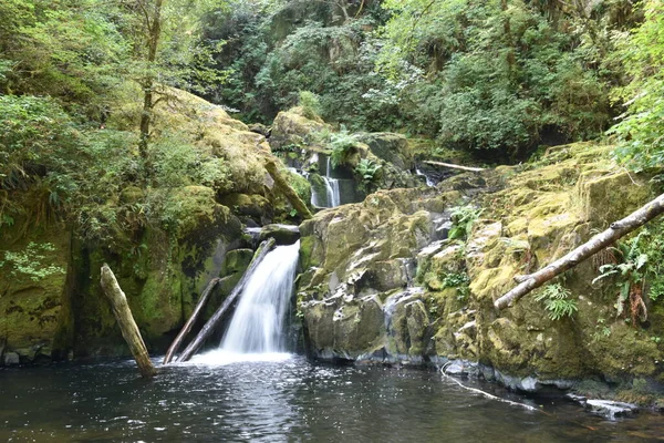 Sweet Creek Falls Cascada Largo Sendero Complejo Cerca Mapleton Oregon — Foto de Stock
