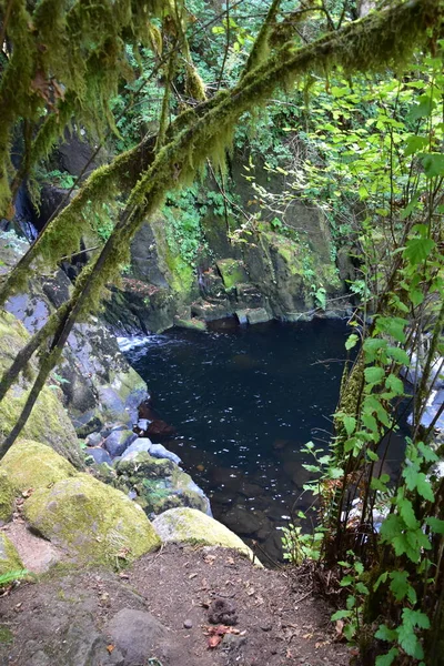 Chute Eau Sweet Creek Falls Long Complexe Hiking Trail Près — Photo