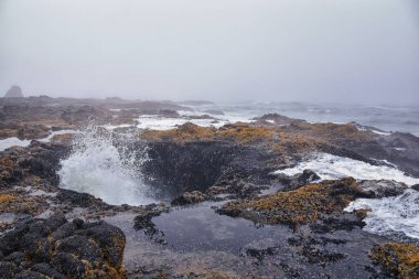 Oregon Sahili 'nde Thor' un Kuyusu Perpetua Burnu. Kaptan Cook Patikası. Yachat Kuzey Amerika.