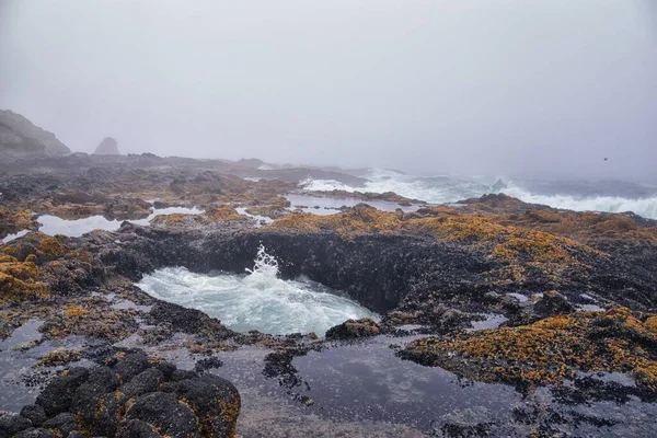 Thor Well Views Cape Perpetua Oregon Coast Spouting Horn Captain — стокове фото