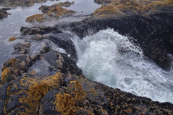 Thor Well Views Cape Perpetua Oregon Coast Spouting Horn Captain — Foto de Stock