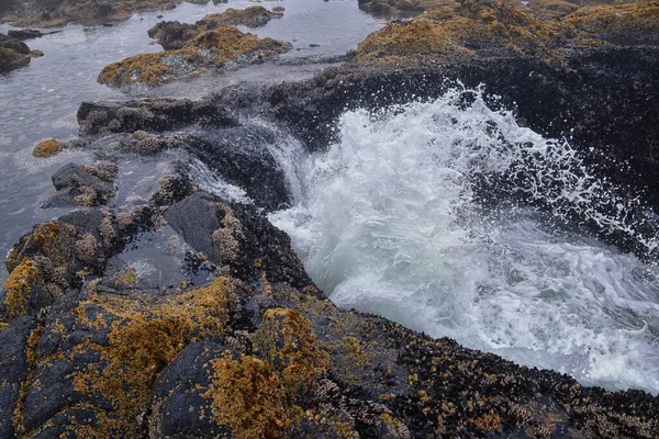 Thor Well Views Cape Perpetua Inglês Oregon Coast Spouting Horn — Fotografia de Stock