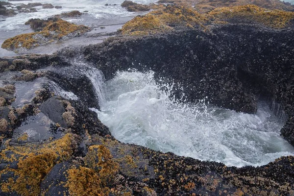 Thor Well Views Cape Perpetua Inglês Oregon Coast Spouting Horn — Fotografia de Stock