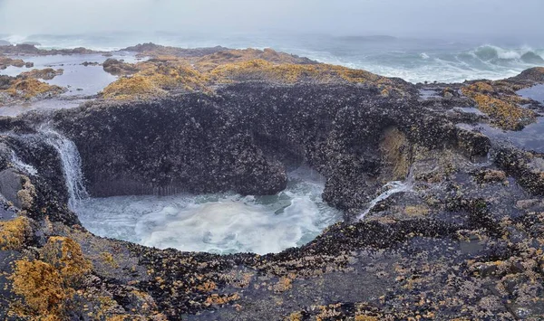 Thor Well Views Cape Perpetua Oregon Coast Spouting Horn Captain — Photo