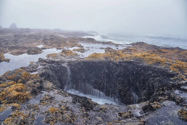 ソーのよく見えるオレゴン海岸のペプトゥア岬角キャプテンクックトレイルを噴き出す ヨット North America — ストック写真
