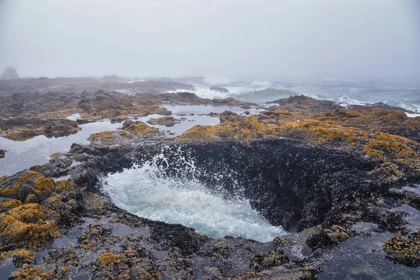 Thor Well Views Cape Perpetua Kust Van Oregon Spuithoorn Captain — Stockfoto