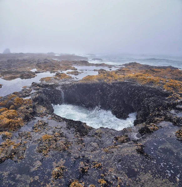 Thor Well Views Cape Perpetua Oregon Coast Spouting Horn Captain — Stock fotografie