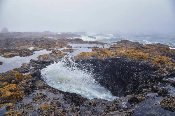 Thor Well Views Cape Perpetua Kust Van Oregon Spuithoorn Captain — Stockfoto