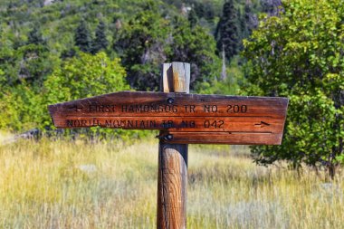 Yürüyüş Patikası Hamongog Tepesi Yalnız Tepe Vahşi Doğası, Wasatch Rocky Dağları, Utah. Birleşik Devletler. 